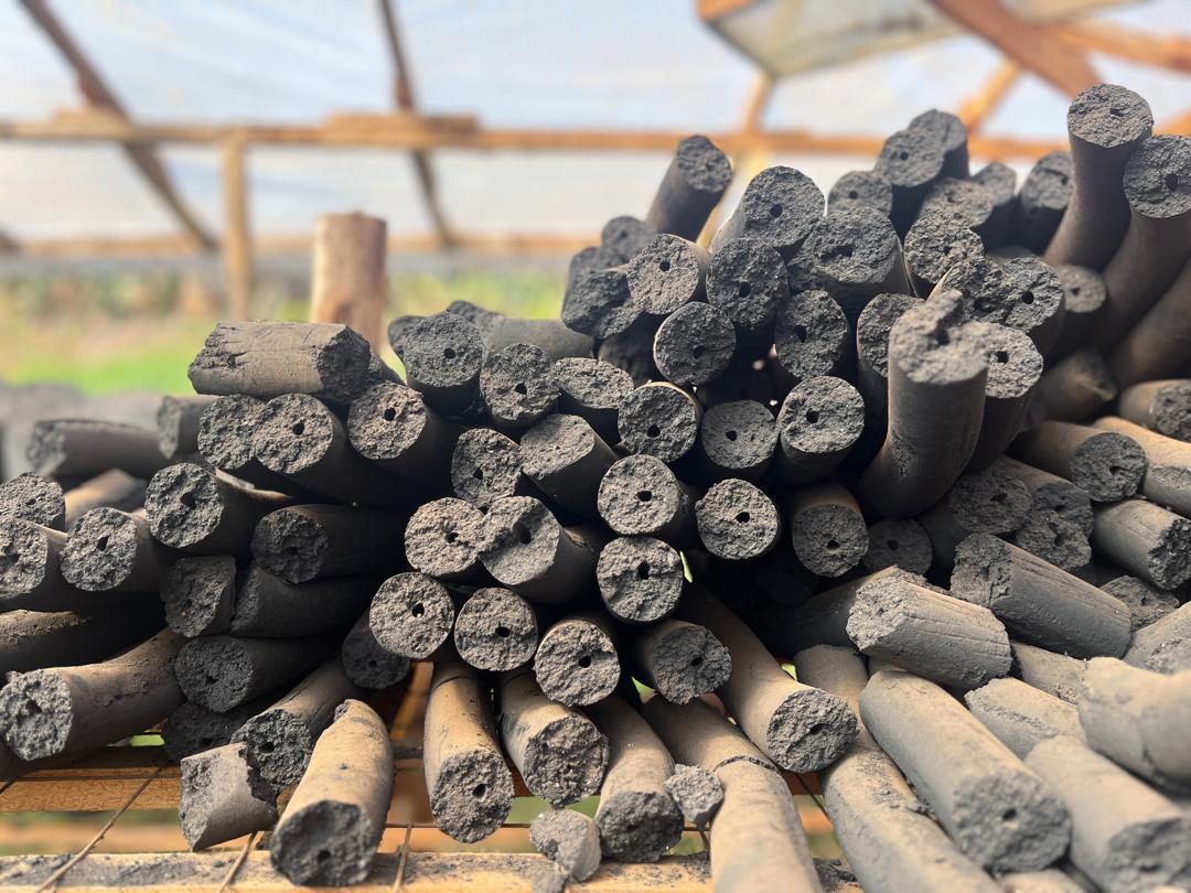 Large batch of stick briquettes on drying rack under open-sided shed